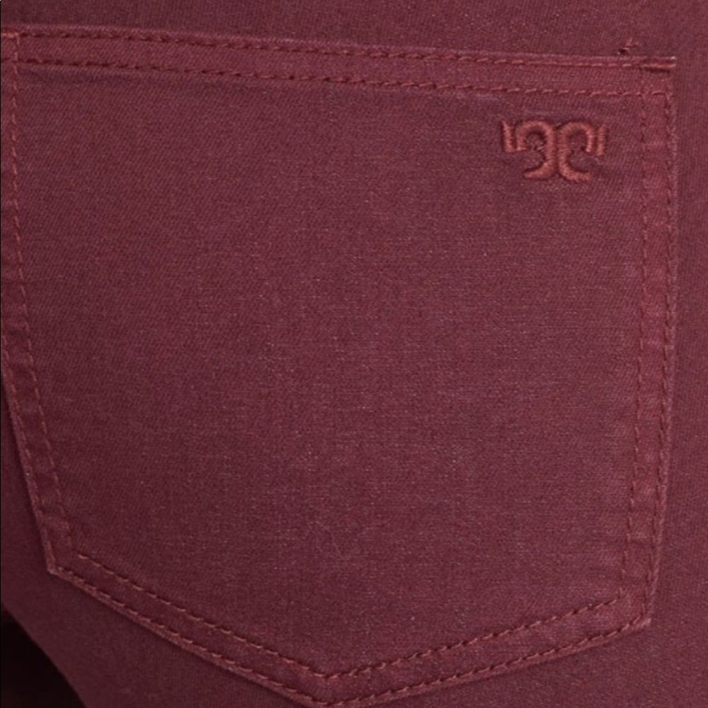 Tory Burch super skinny Jean